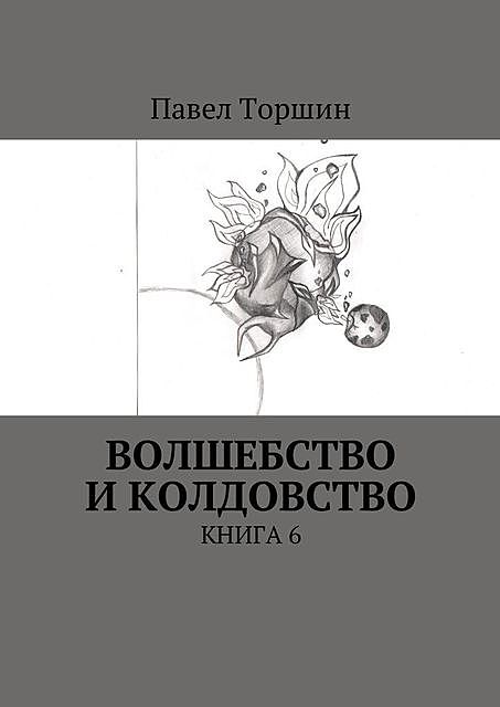 Волшебство и колдовство. Книга 6, Павел Торшин