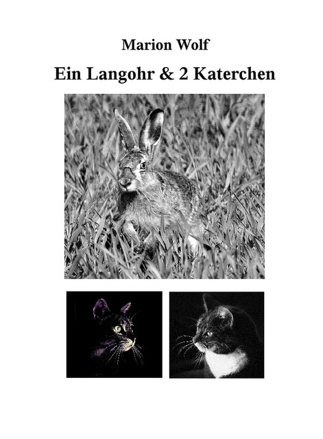 Ein Langohr & 2 Katerchen, Marion Wolf