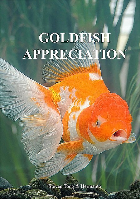 Goldfish Appreciation, Hermanto Hermanto, Steven CS Tong