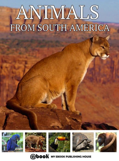 Animals from South America, My Ebook Publishing House