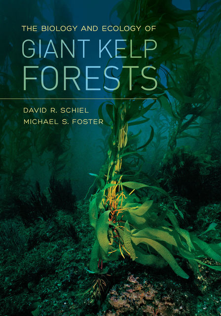 The Biology and Ecology of Giant Kelp Forests, Michael Foster, David R. Schiel