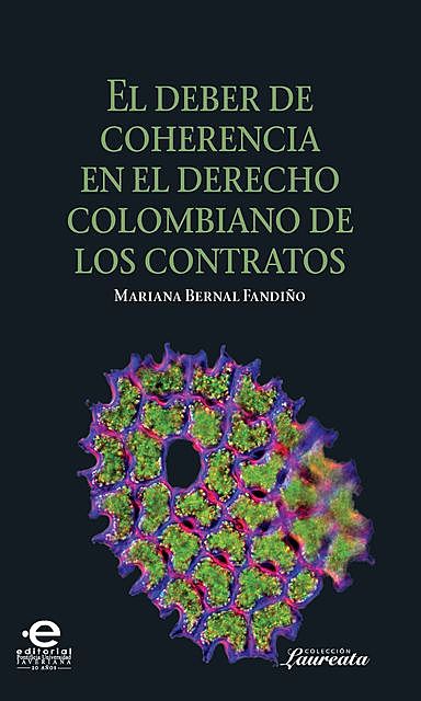 Deber de coherencia en el derecho colombiano de los contratos, Mariana, Bernal Fandiño