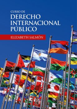Curso de derecho internacional público, Elizabeth Salmón