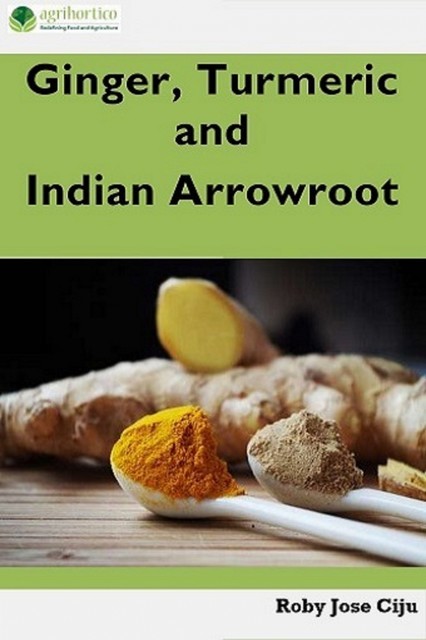Ginger, Turmeric and Indian Arrowroot, Roby Jose Ciju