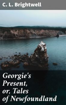 Georgie's Present, or, Tales of Newfoundland, C.L. Brightwell