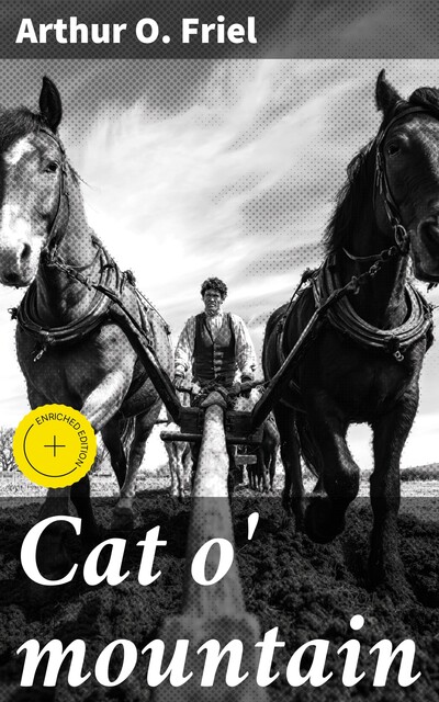 Cat o' mountain, Arthur O.Friel