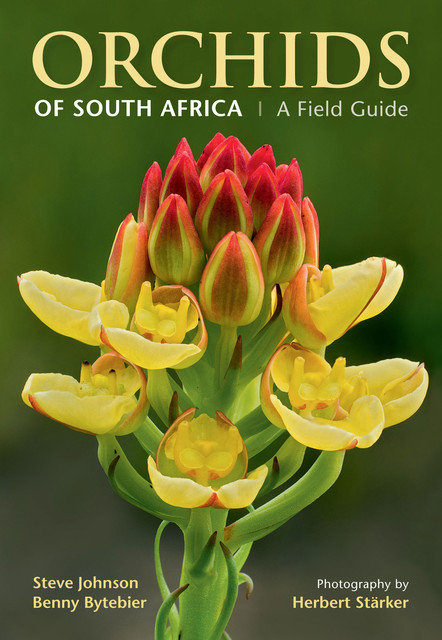 Orchids of South Africa, Steve Johnson