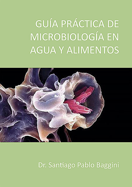 Guía Practica de microbiología en agua y alimentos, Pablo Santiago Baggini