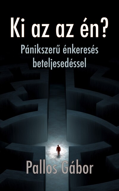 Ki az az én, Pallos Gábor