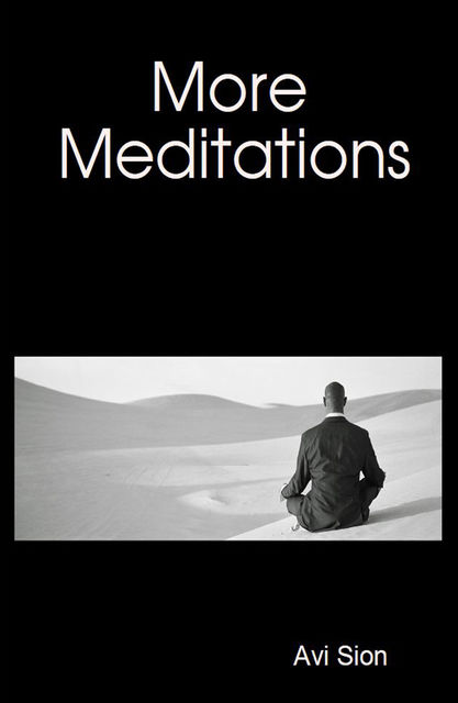 More Meditations, Avi Sion