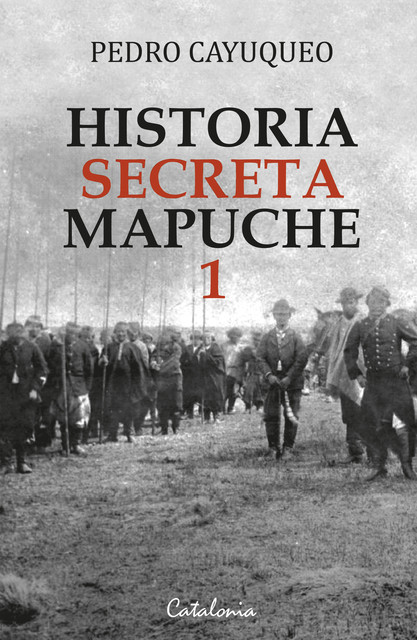 Historia secreta mapuche 1, Pedro Cayuqueo