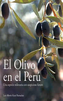 El Olivo en el Perú, Luis Alberto Kouri Bumachar