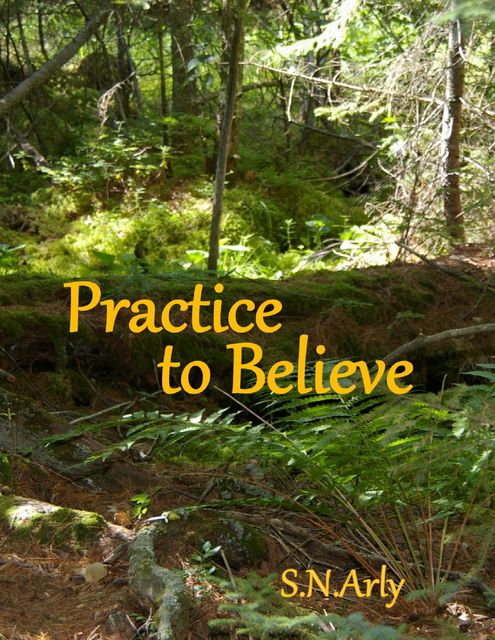 Practice to Believe, S.N. Arly