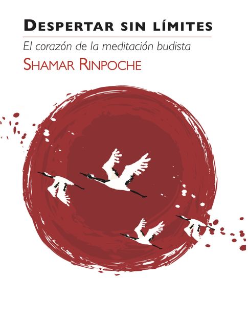Despertar Sin Limites, Shamar Rinpoche