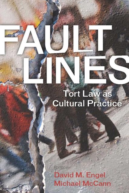 Fault Lines, David Engel, Michael McCann