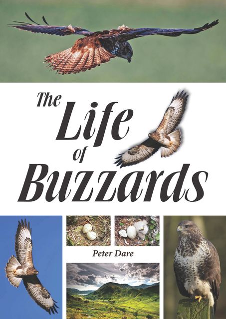 The Life of Buzzards, Peter Dare