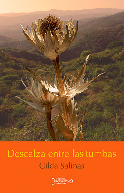 Descalza entre las tumbas, Gilda Salinas