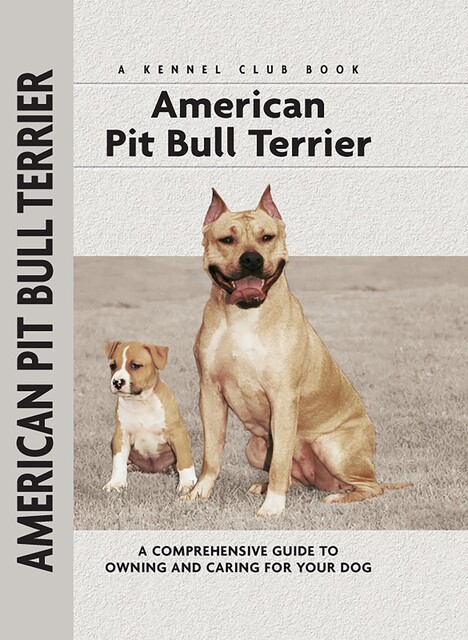 American Pit Bull Terrier, F. Favorito