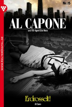 Al Capone 15 – Kriminalroman, Al Cann