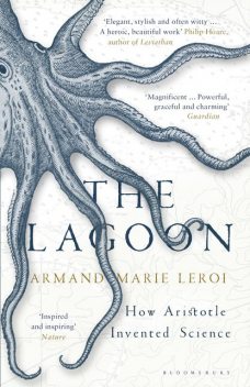 The Lagoon, Armand Marie Leroi