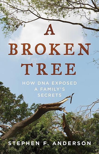 A Broken Tree, Stephen Anderson