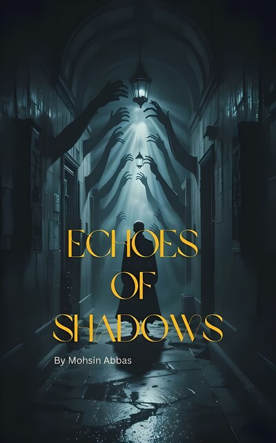 Echoes of Shadows, Mohsin Abbas