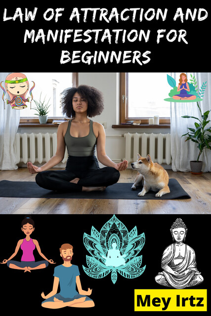 Law of Attraction and Manifestation for Beginners, Mey Irtz