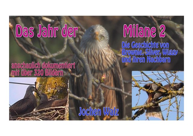 Das Jahr der Milane 2, Jochen Walz