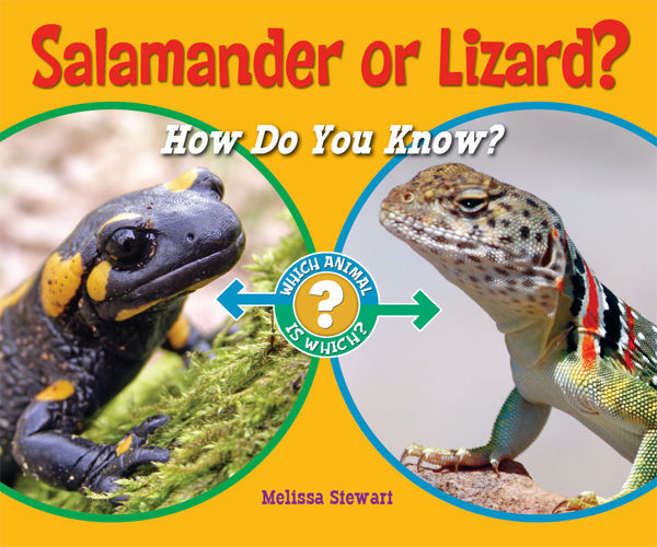 Salamander or Lizard?, Melissa Stewart