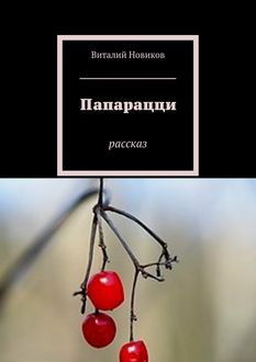 Папарацци. Рассказ, Виталий Новиков
