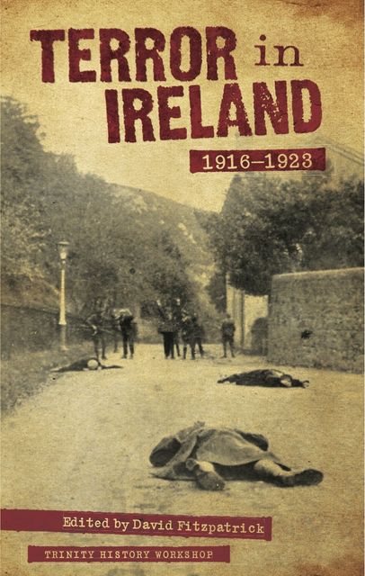 Terror in Ireland 1916–1923, David Fitzpatrick