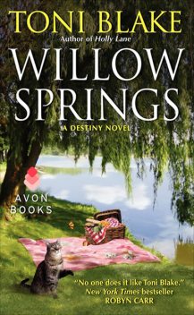 Willow Springs, Toni Blake