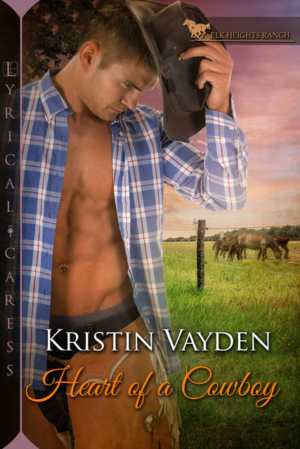 Heart of a Cowboy, Kristin Vayden