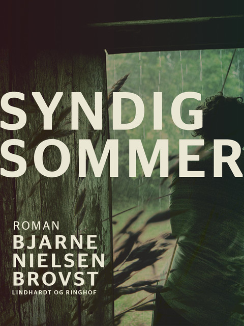 Syndig sommer, Bjarne Nielsen Brovst