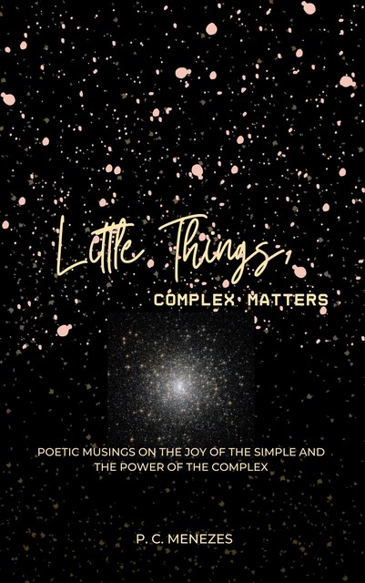 Little Things, complex matters, P.C. Menezes