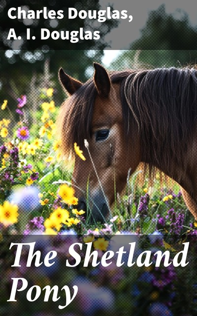 The Shetland Pony, A.I. Douglas, Charles Douglas