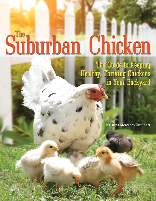 The Suburban Chicken, Kristina Mercedes Urquhart