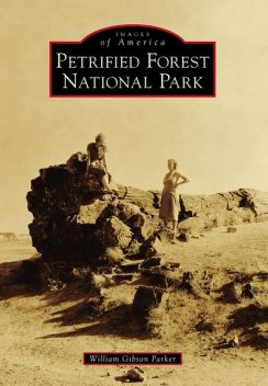 Petrified Forest National Park, William Parker
