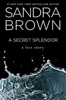 A Secret Splendor, Sandra Brown