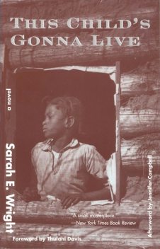 This Child's Gonna Live, Sarah E. Wright