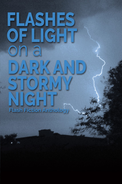 Flashes of Light on a Dark and Stormy Night: A Flash Fiction Anthology, Michele Venné, Anna Questerly, Charles L.M. Plumb, Kat Emmons, Rita Ackerman, Thad Coons