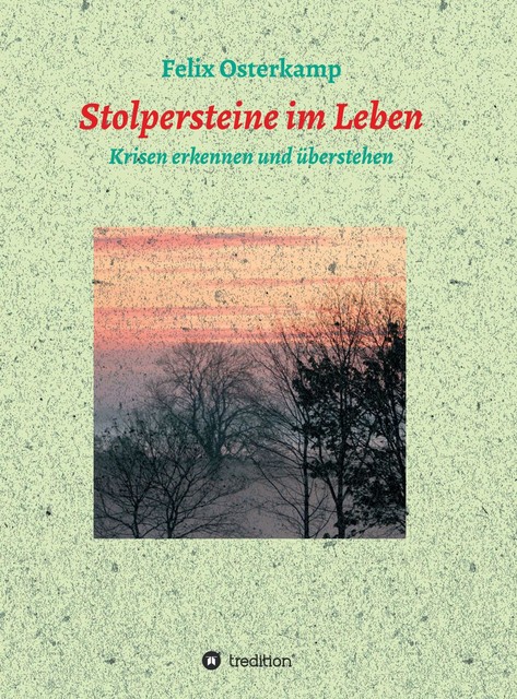 Stolpersteine im Leben – Krisen erkennen und überstehen, Felix-Daniel Osterkamp