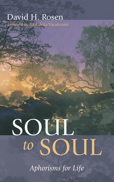 Soul to Soul, David Rosen
