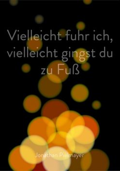 Vielleicht fuhr ich, vielleicht gingst du zu Fuß, Jonathan Pielmayer