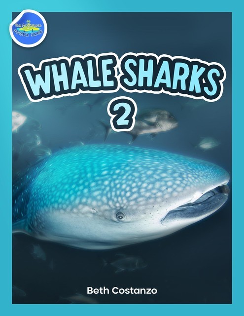 Whale Shark 2 ages 4–8, Beth Costanzo