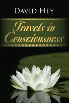 Travels in Consciousness, David Hey
