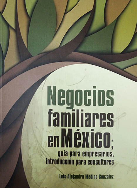 Negocios familiares en México, Luis Alejandro Medina González