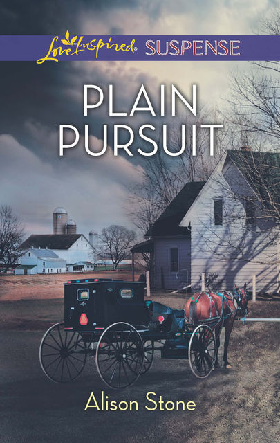 Plain Pursuit, Alison Stone