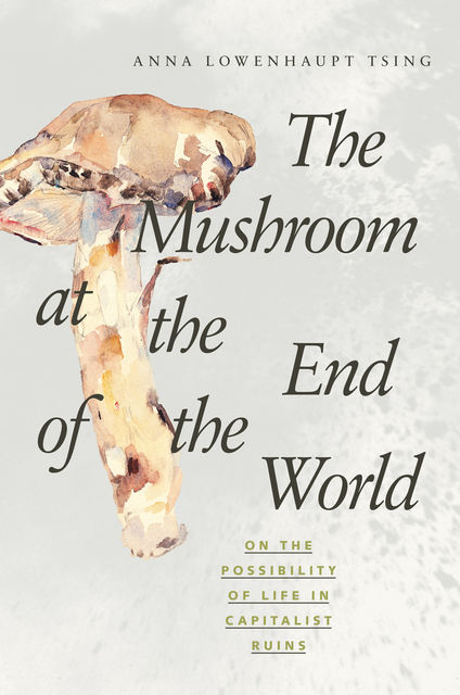 The Mushroom at the End of the World : On the Possibility of Life in Capitalist Ruins, Anna Lowenhaupt, Tsing