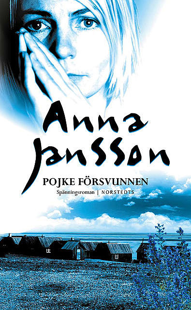 Pojke försvunnen, Anna Jansson